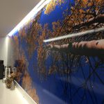 Wall Murals for Office in NYC